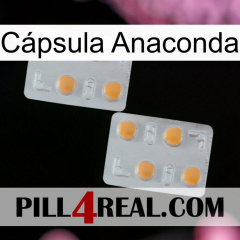 Cápsula Anaconda 25